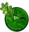 GREEN GURU